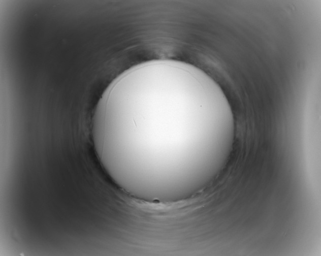 X0000088900030200706080835