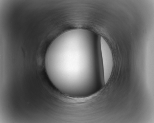 X0000088900031200706080835