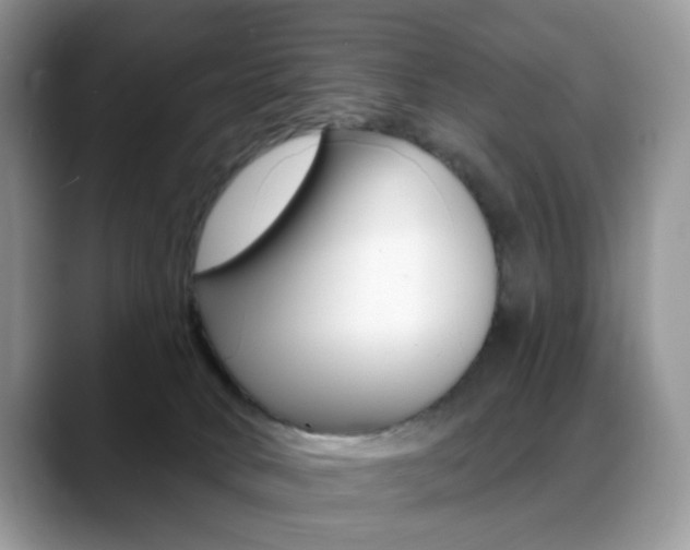 X0000088900034200706080835