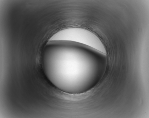 X0000088900035200706080835