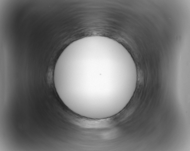X0000088900036200706080835