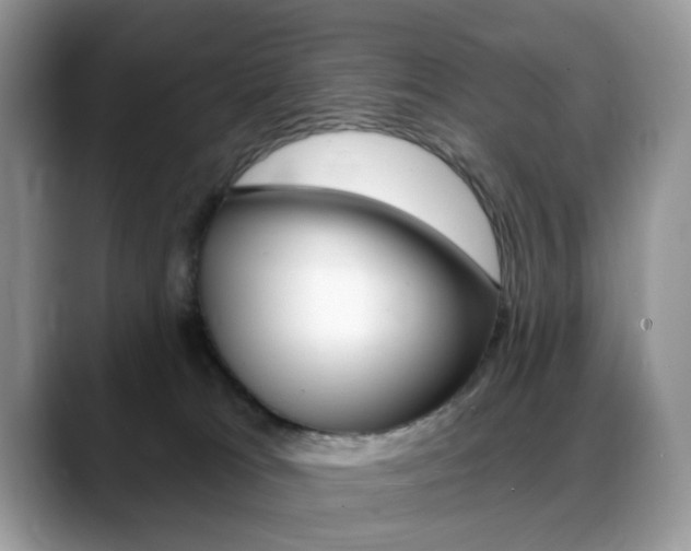 X0000088900037200706080835