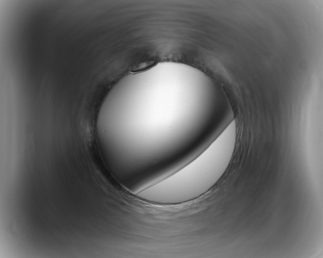 X0000088900039200706080835