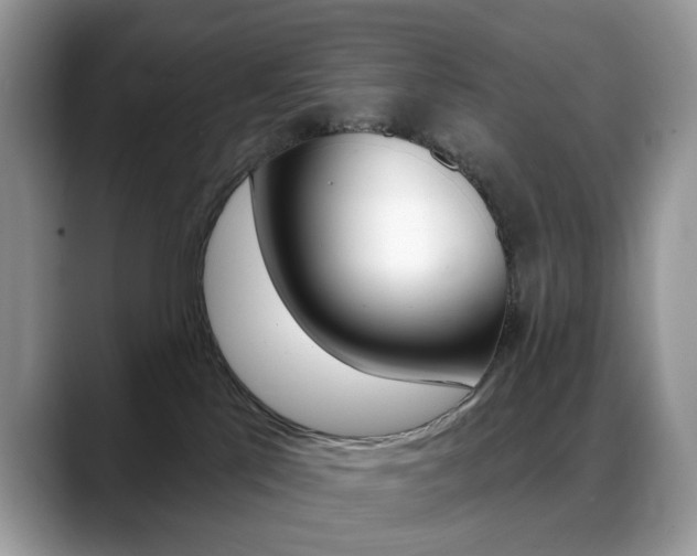 X0000088900041200706080835