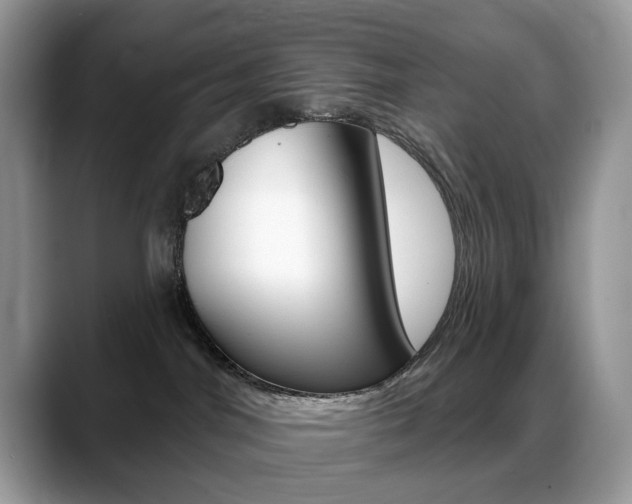 X0000088900044200706080835