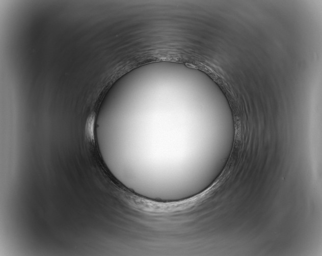 X0000088900047200706080835