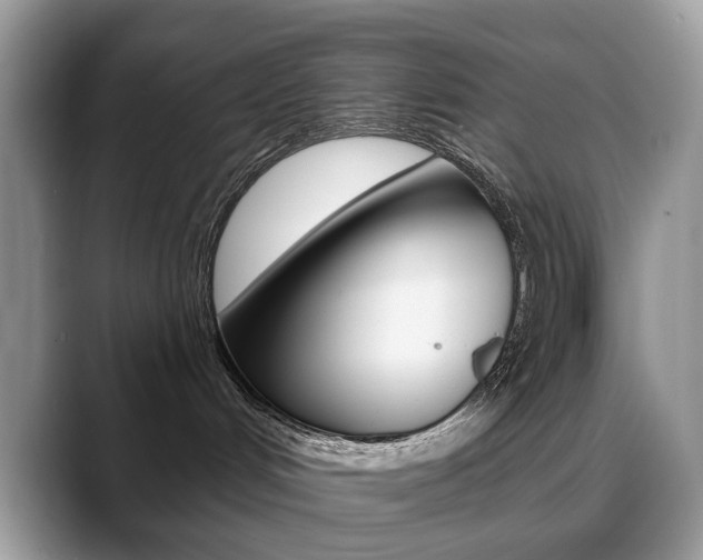 X0000088900048200706080835