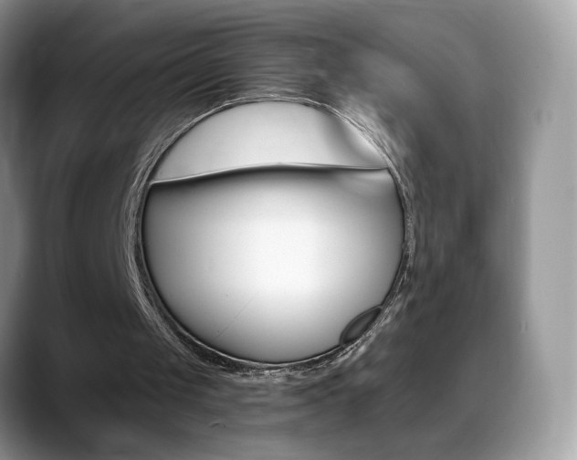 X0000088900049200706080835