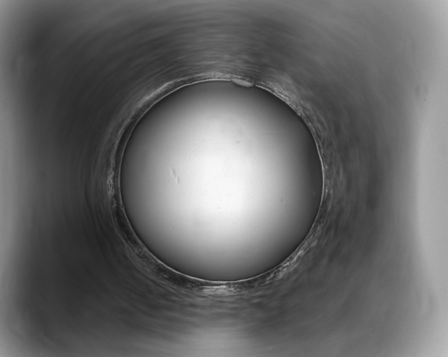 X0000088900050200706080835