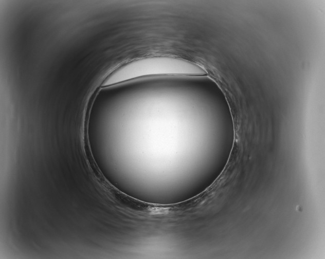 X0000088900052200706080835