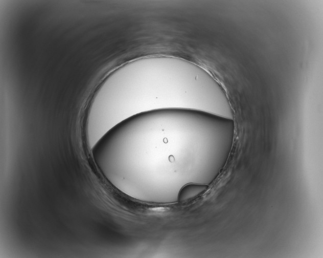 X0000088900053200706080835