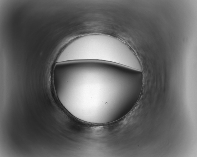X0000088900054200706080835