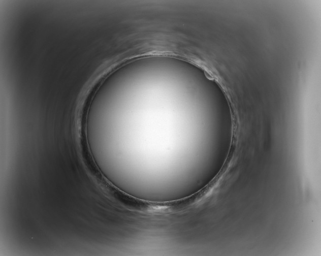 X0000088900055200706080835