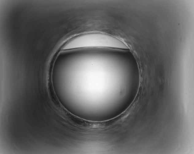 X0000088900056200706080835