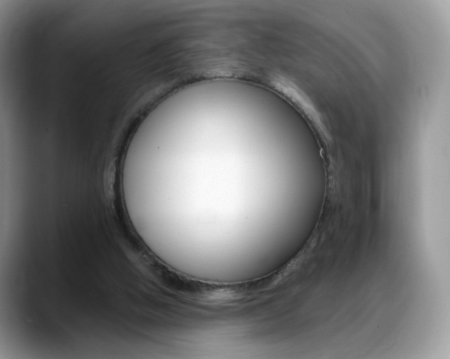 X0000088900058200706080835