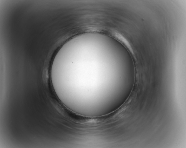 X0000088900059200706080835
