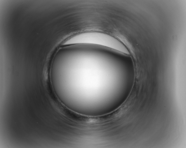 X0000088900060200706080835