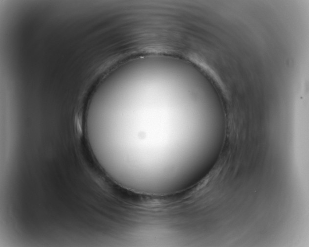 X0000088900062200706080835