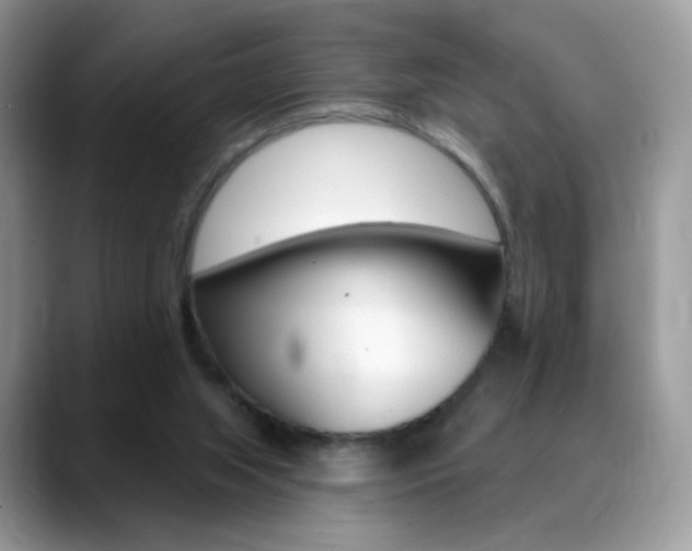 X0000088900063200706080835