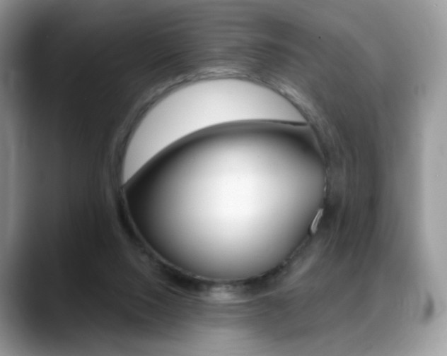 X0000088900064200706080835