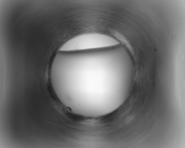 X0000088900065200706080835