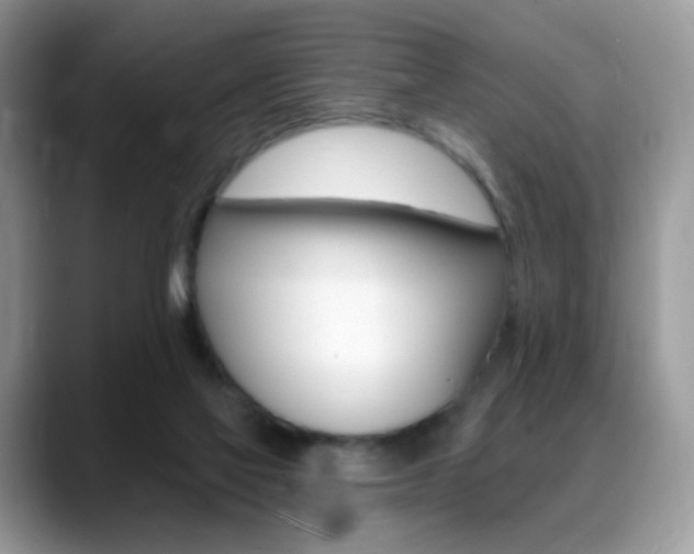 X0000088900069200706080835