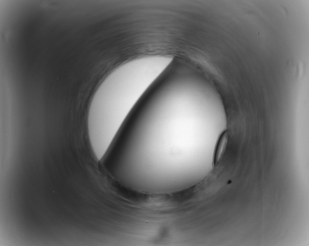 X0000088900070200706080835