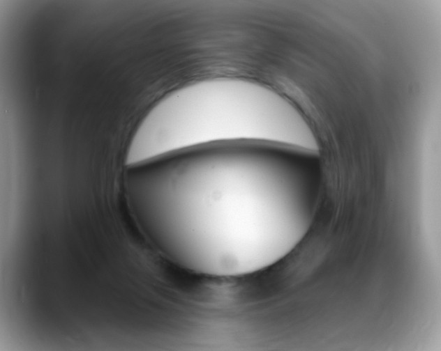 X0000088900071200706080835