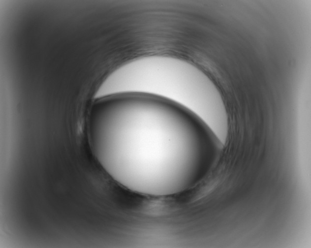 X0000088900072200706080835
