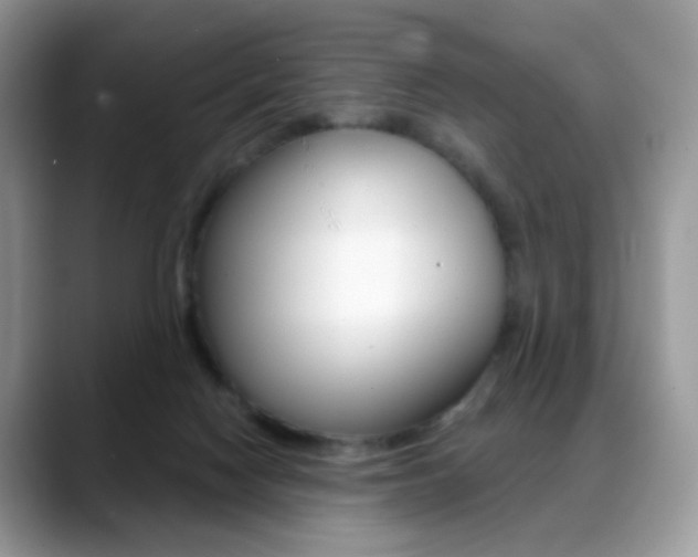 X0000088900074200706080835