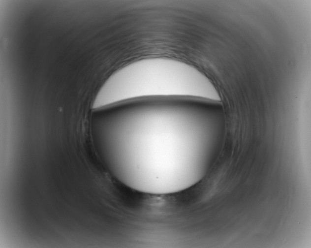 X0000088900083200706080835