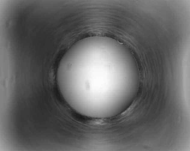 X0000088900086200706080835