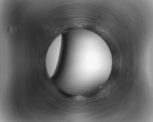 X0000088900087200706080835