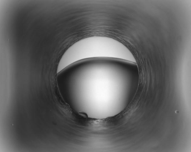 X0000088900092200706080835