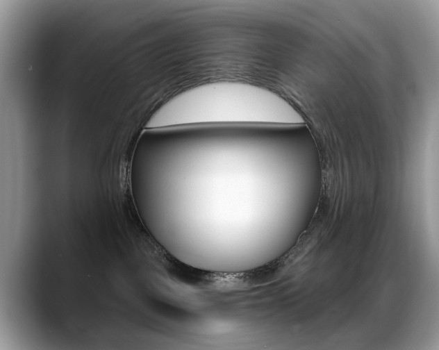 X0000088900093200706080835