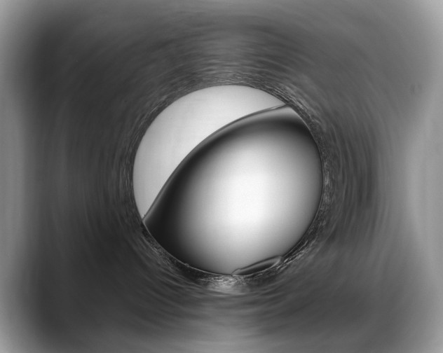 X0000088900096200706080835