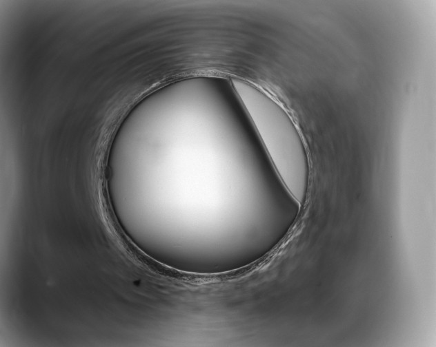 X0000088900097200706080834