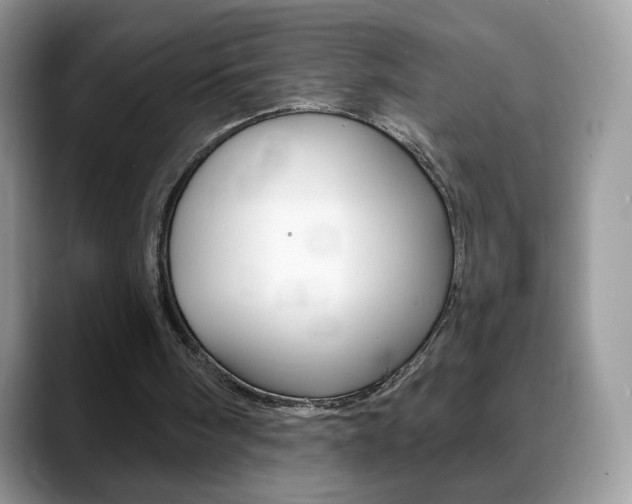 X0000088900098200706080834