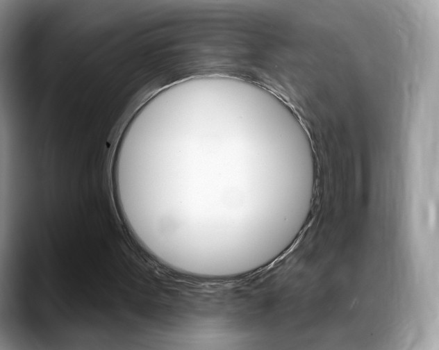 X0000088900099200706080834