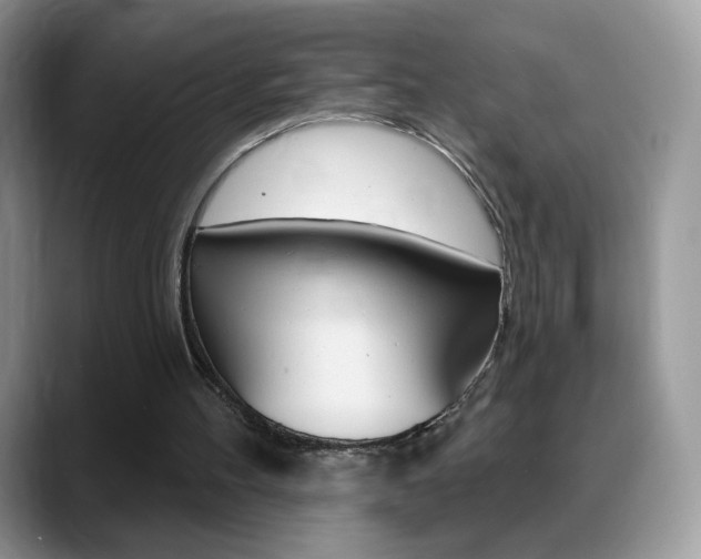 X0000088900100200706080834