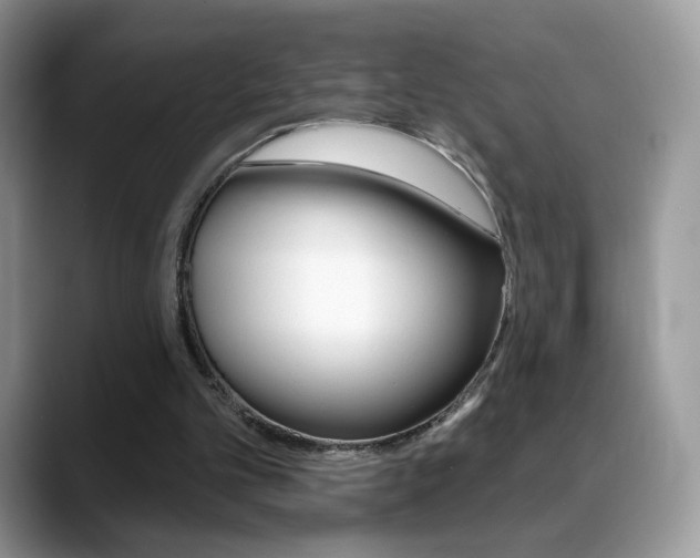X0000088900101200706080834