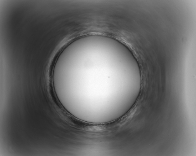 X0000088900102200706080834