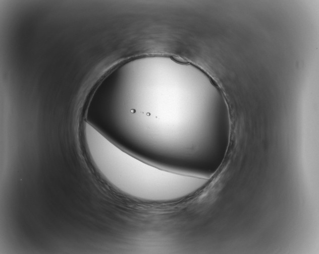 X0000088900103200706080834