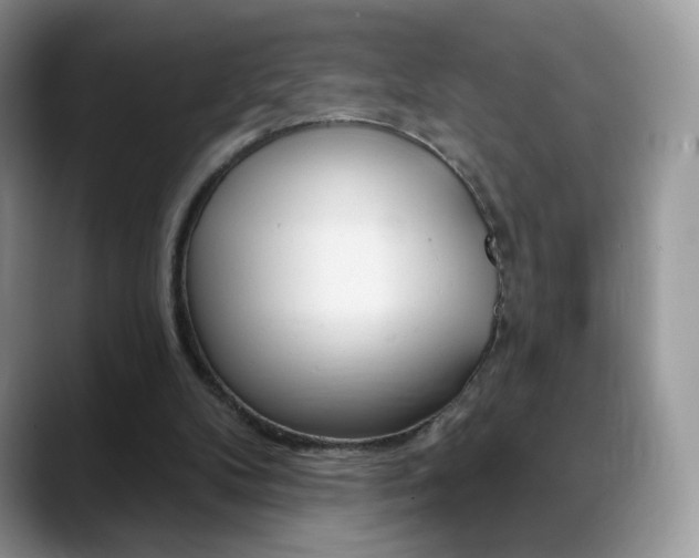 X0000088900104200706080834