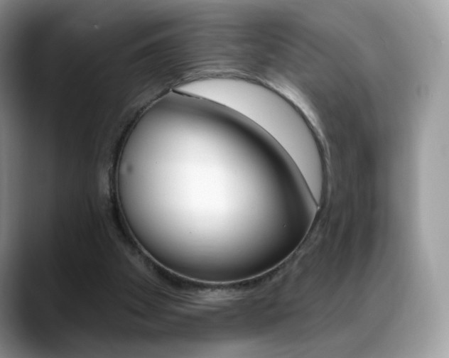 X0000088900105200706080834