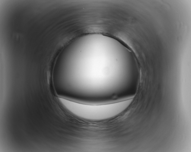 X0000088900109200706080834