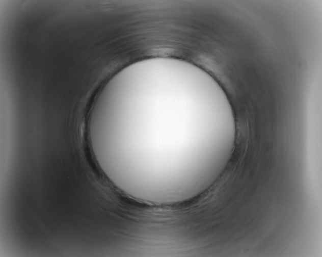 X0000088900110200706080834