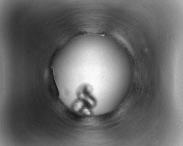 X0000088900117200706080834