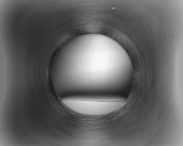 X0000088900120200706080834