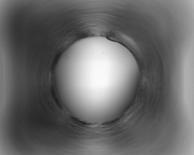 X0000088900121200706080834